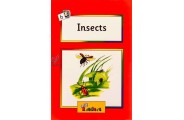 Jolly Readers Insects